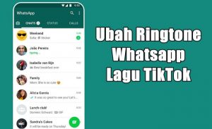 Cara Mengubah Nada Dering Whatsapp Dengan Lagu TikTok