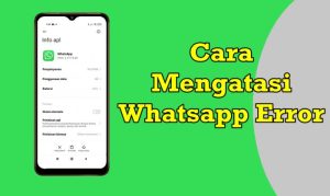 Cara Mengatasi Whatsapp Error