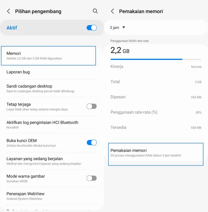 Melihat Penggunaan RAM Melalui Opsi Pengembang Samsung